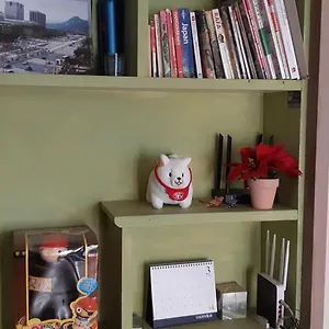 Birdsnest Hongdae Foreigner Only Hostal